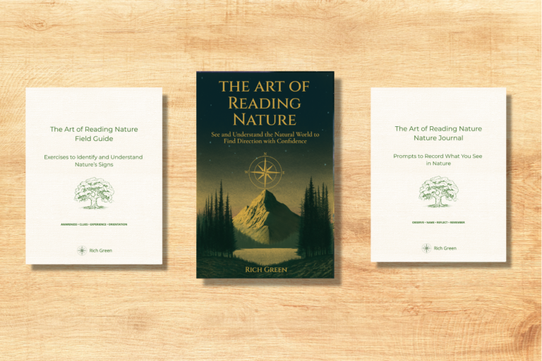 book 1 bundle