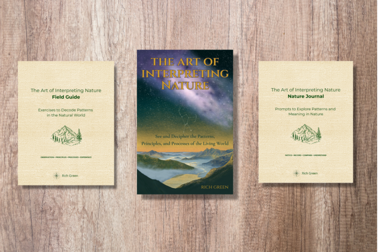 book 2 bundle