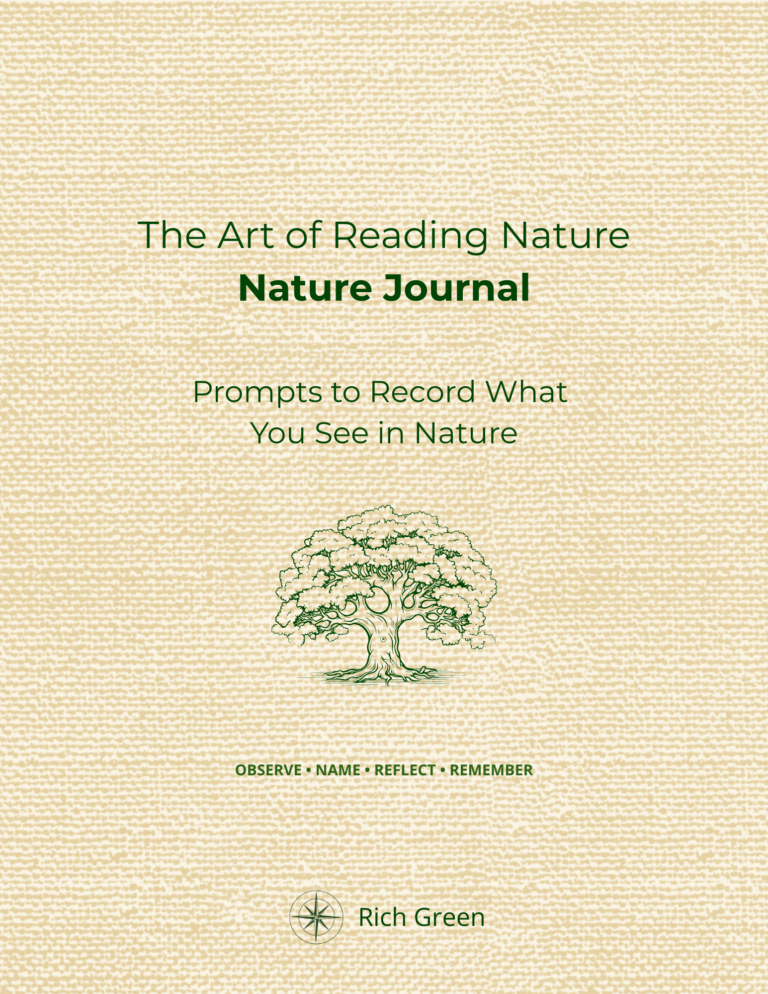 the art of reading nature nature journal