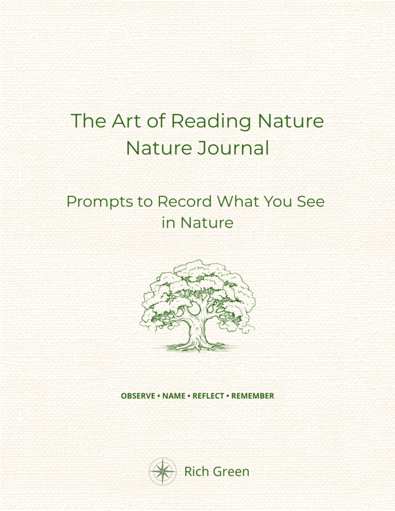 the art of reading nature nature journal