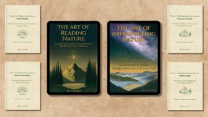 complete bundle x 6 paper