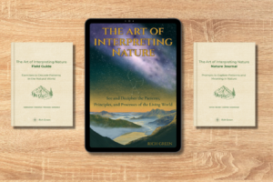 ebook 2 bundle table