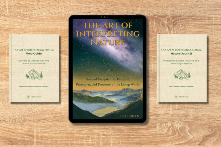 ebook 2 bundle table