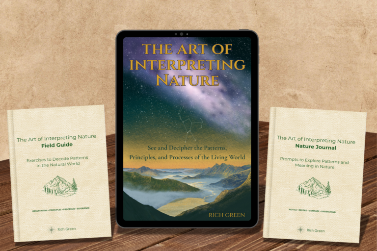 ebook 2 bundle table b
