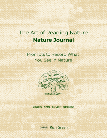 the art of reading nature nature journal